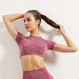 Women Seamless Yoga T-Shirt Sports Gym Cropped Tops Gym Training Shirt Short Sleeve Yoga Running Tracksuit
